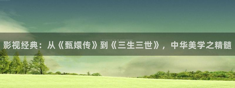 99视频精品网