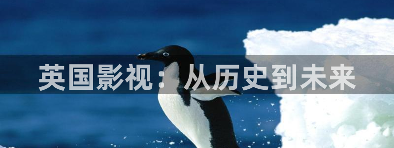 99视频精品全部免费免费观看