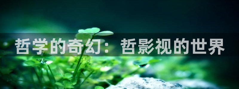 99视频精品这在在线观看