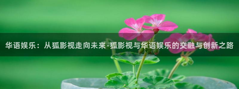 在线99视频观看